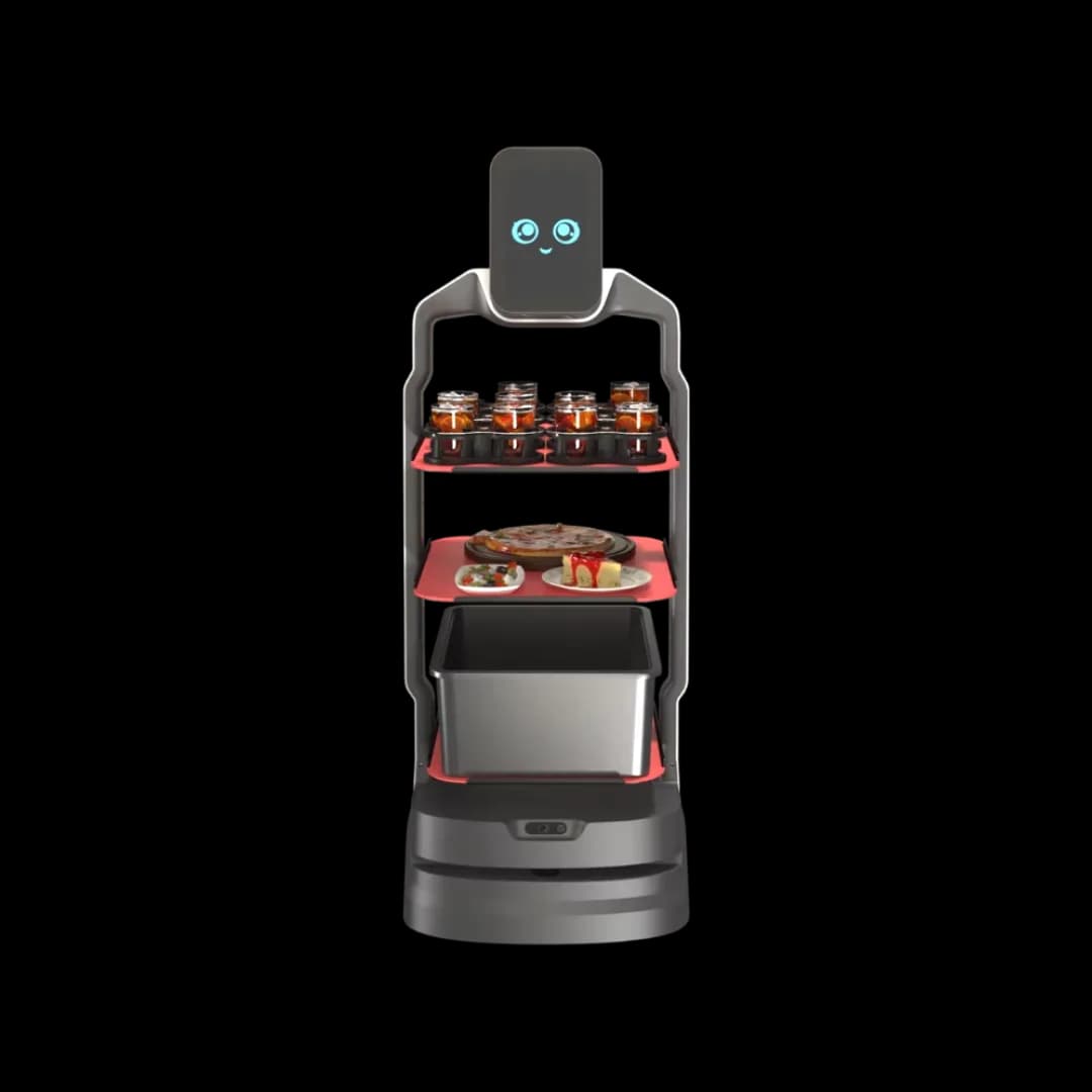 Richtech Robotics Matradee L