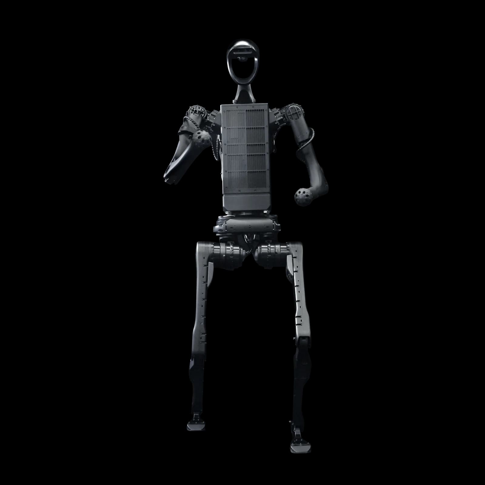 Unitree Robotics H1